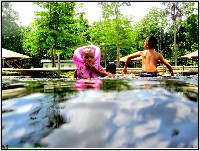 Plonsen - nr. 0116